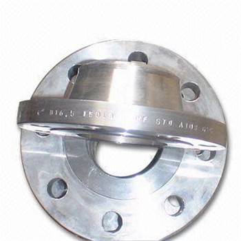304/316L Stainless Steel Weld Neck Pipe Fittings Flange 