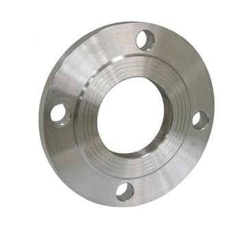 OEM Machined Stainless Steel Blind Flange