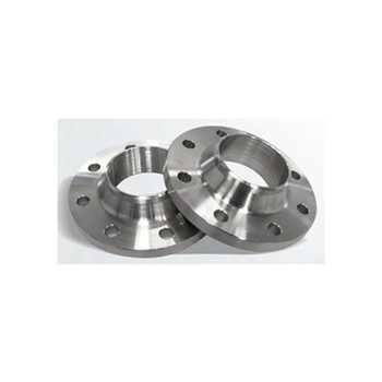 Flange de aço inoxidável forjado 