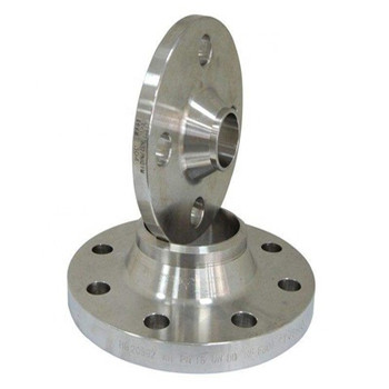 Venda quente Tubo / placa forjada em aço inoxidável 304 Flange / anel / cego Dn 100 