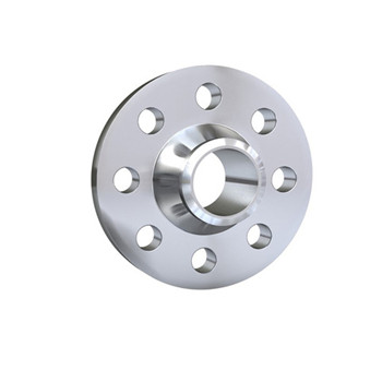 API Stainless Steel Socket Welding Flange (F304, F310, F316) 