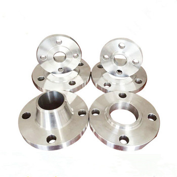 Stainless Steel F316ti Forged Weld Neck ANSI Flange (PY0058) 