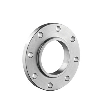 Stainless Steel Weld Neck Flange (F316Ti, F317L, F309H) 