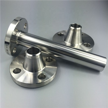 316/316L Stainless Steel Pipe Blind Flange Cdfl057 