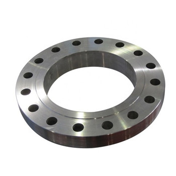 OEM 304 Stainless Steel Welding Forged Plate RF Pipe Fittings Flange 