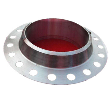 Chine DIN 304 / 304L / 316 / 316L Th (NPT) Fabricant de gros de bride RF 